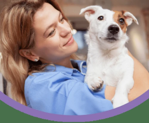 Joyful dog with its owner in Oklahoma